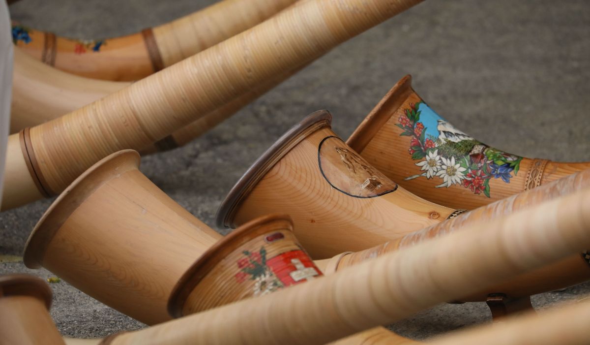 Alphorn-neu-169.jpg